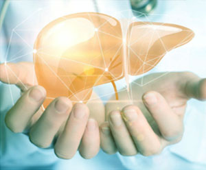 Can Hormone Therapy Protect Against Liver Disease?