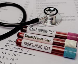 The Link Between Menopause, Hormones & Thyroid