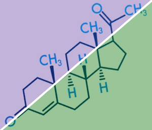 Synthetic Progestin vs Bioidentical Progesterone Hormone Therapy