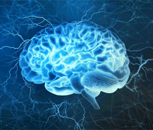 Hormones and Happiness: An Insight into Our Brain Chemistry