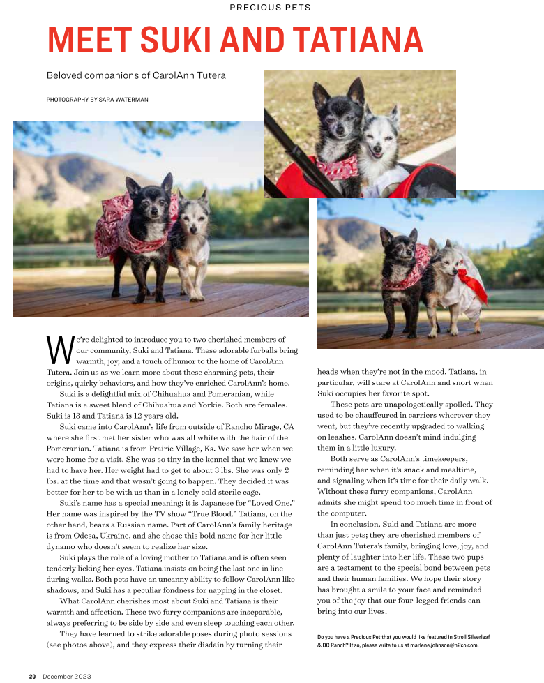 Stroll Magazine